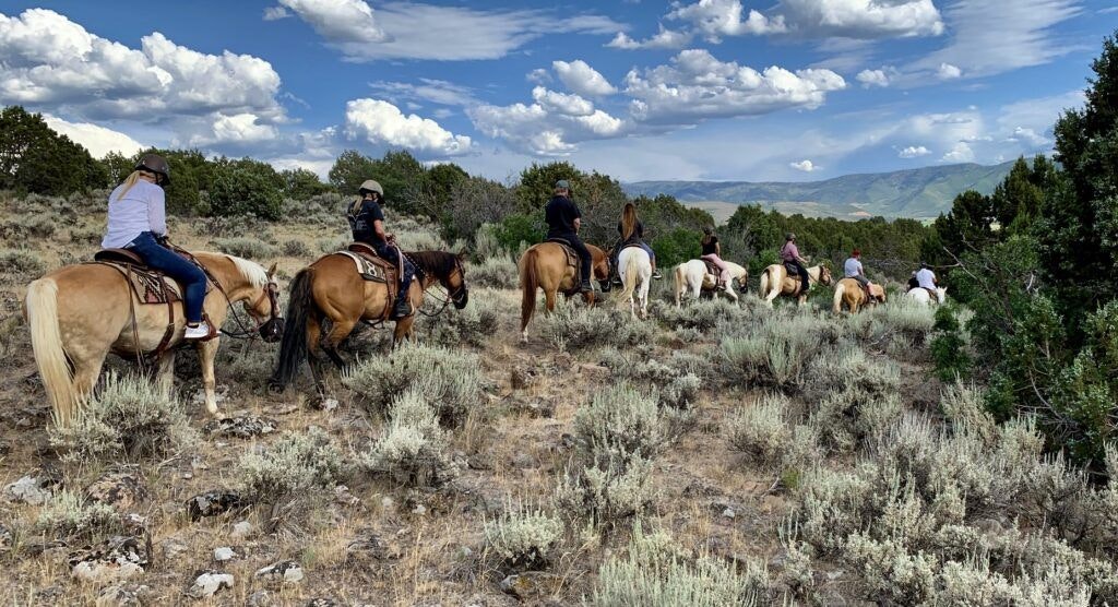 kb-horses-at-red-ledges-004