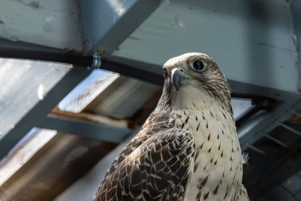 sunriver-nature-center-and-oregon-observatory-028
