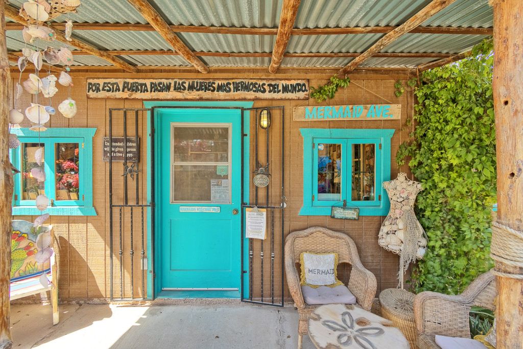 the-seashell-museum-and-sea-debris-shop-002