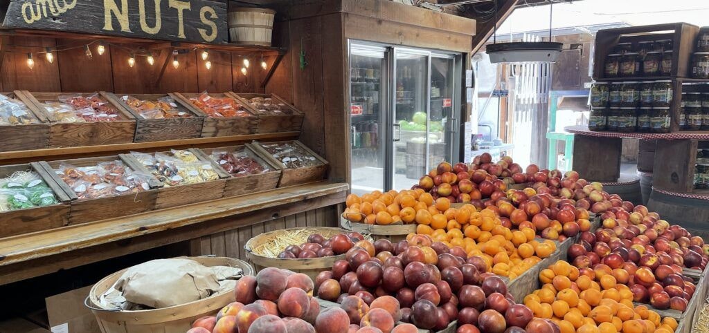 avila-valley-barn-002