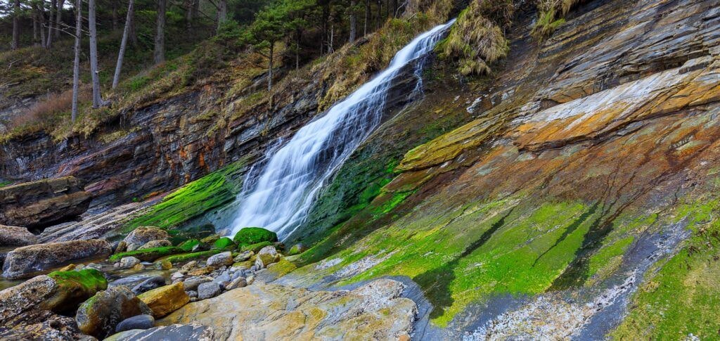 oswald-west-state-park-003