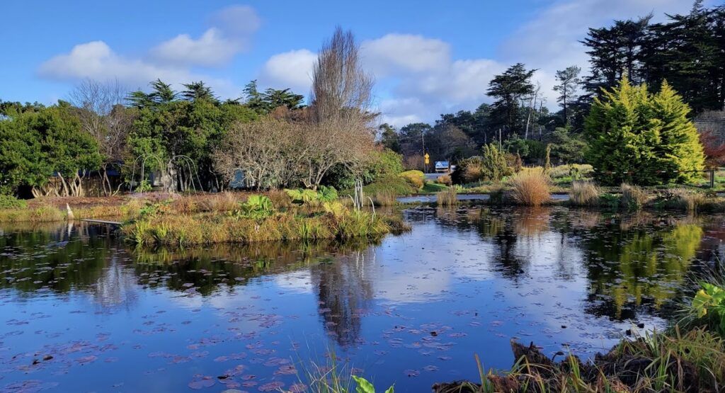 Mendocino Coast Botanical Gardens