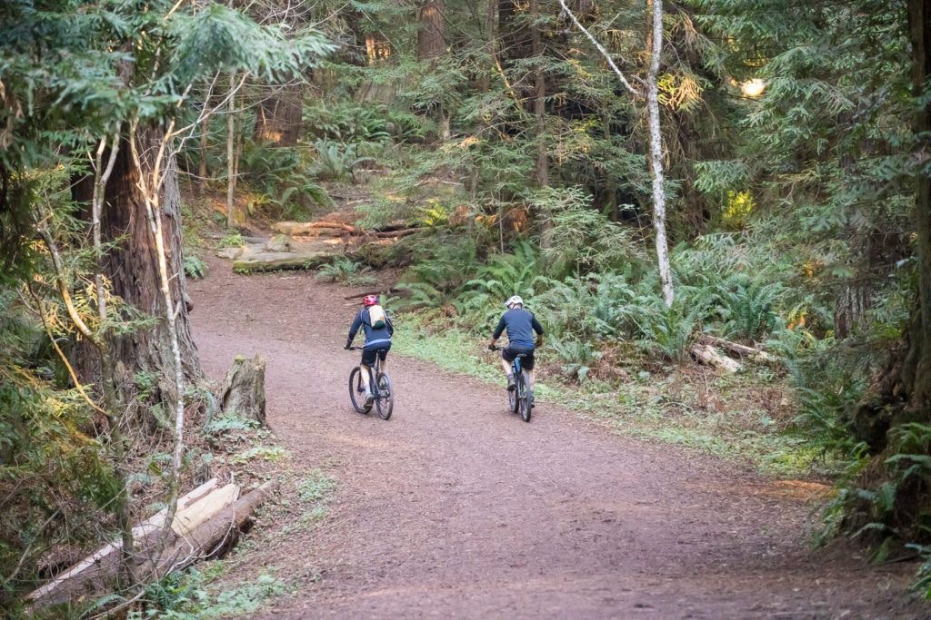 arcata-community-forest-009