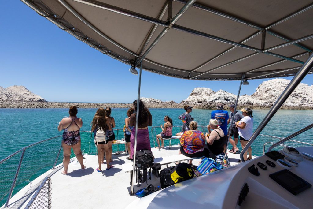 bird-island-isla-san-jorge-036