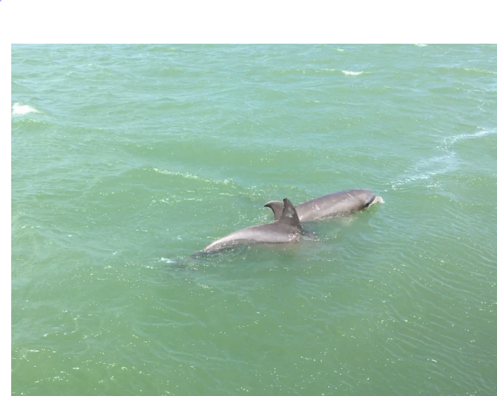 breakaway-cruises-004