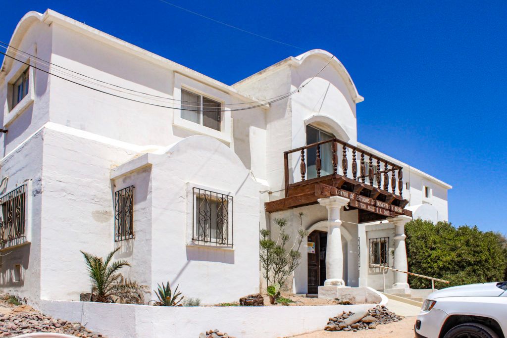 cedo-intercultural-center-for-the-study-of-deserts-and-oceans-004