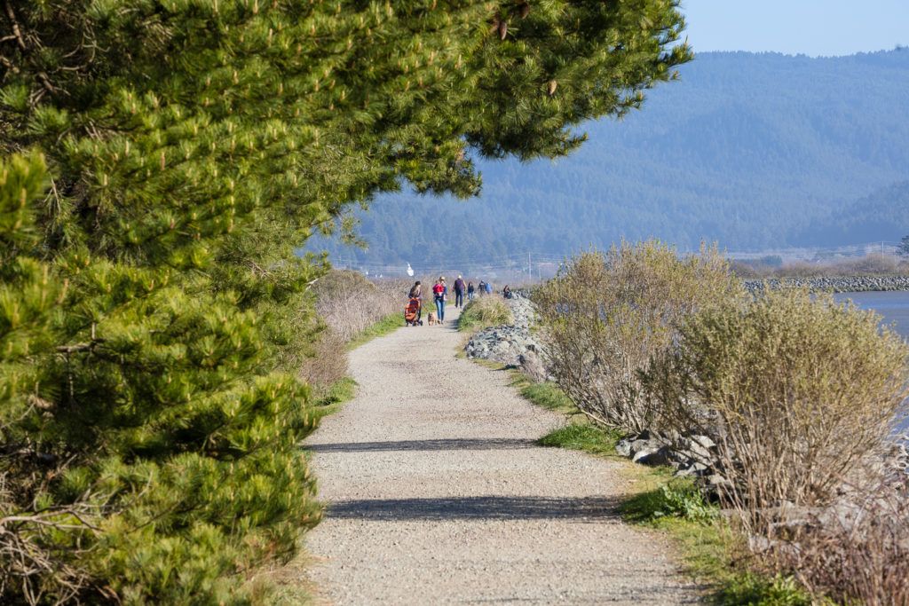 arcata-marsh-and-wildlife-sanctuary-006