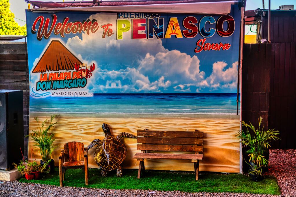 la-palapa-de-don-margaro-005