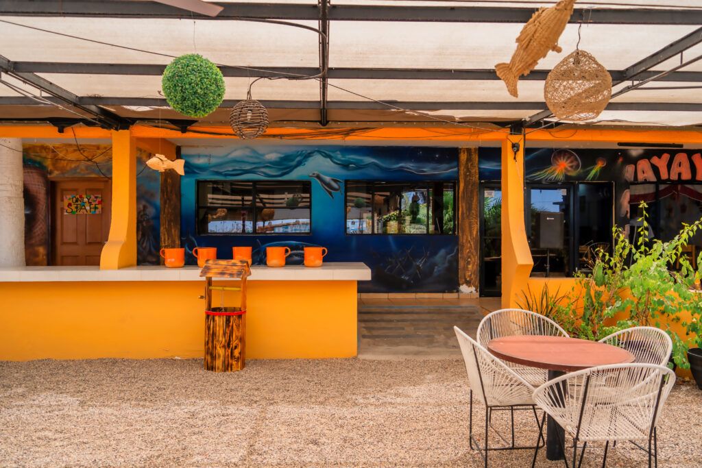 los-mtz-by-las-gaviotas-006