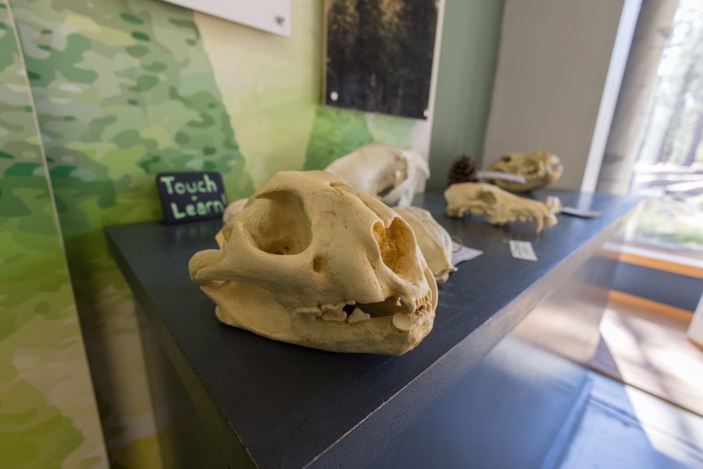 sunriver-nature-center-and-oregon-observatory-009