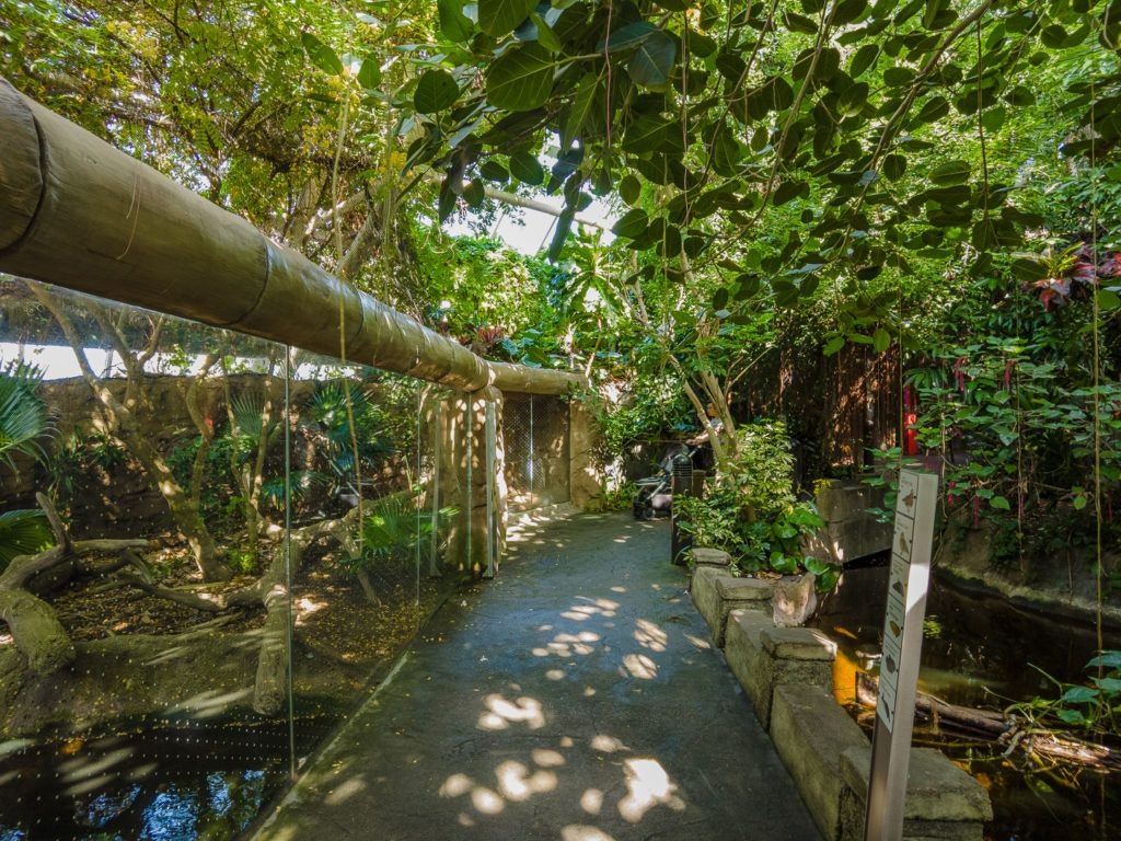 moody-gardens-pyramids-003