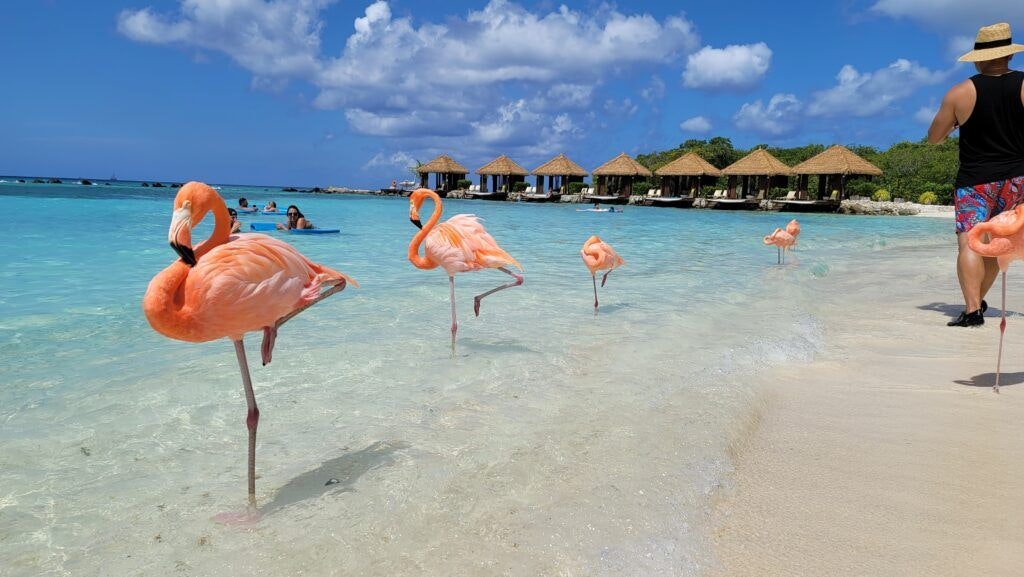 renaissance-island-003