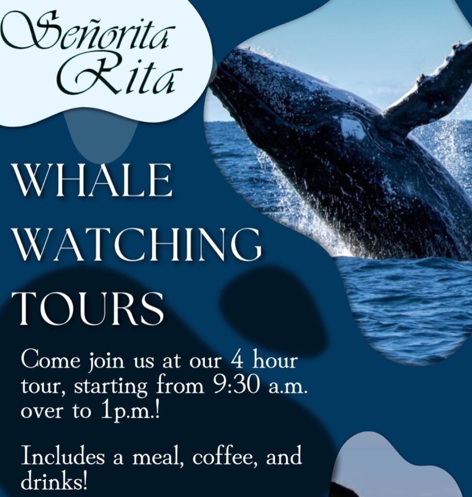 senorita-rita-sunset-cruise-003