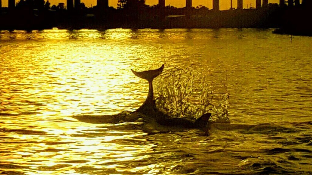 treasure-coast-cruises-003