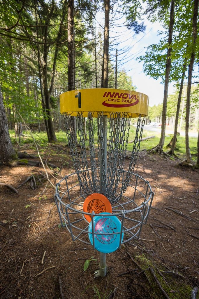 fairy-diddle-disc-golf-001