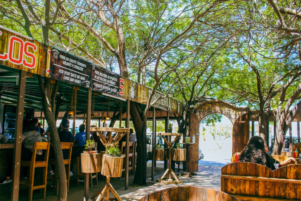 birrieria-los-mezquites-012