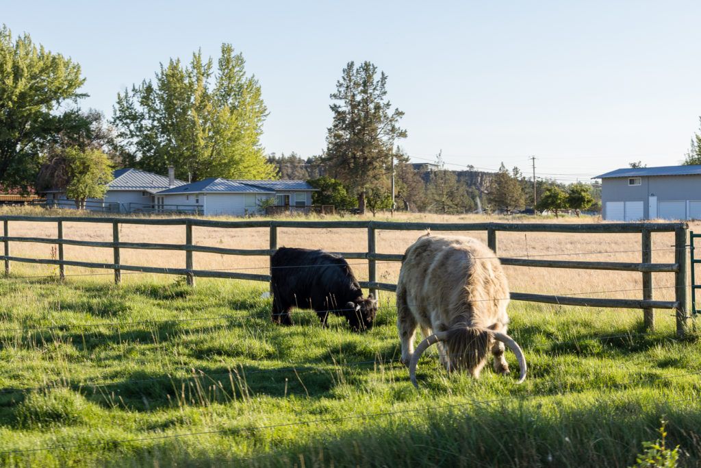 smith-rock-state-park-052