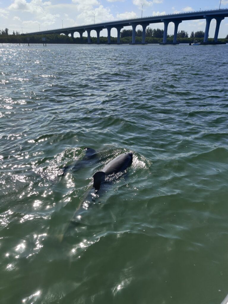 treasure-coast-cruises-002