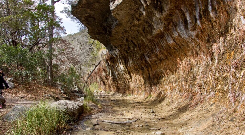 lost-maples-east-trail-002