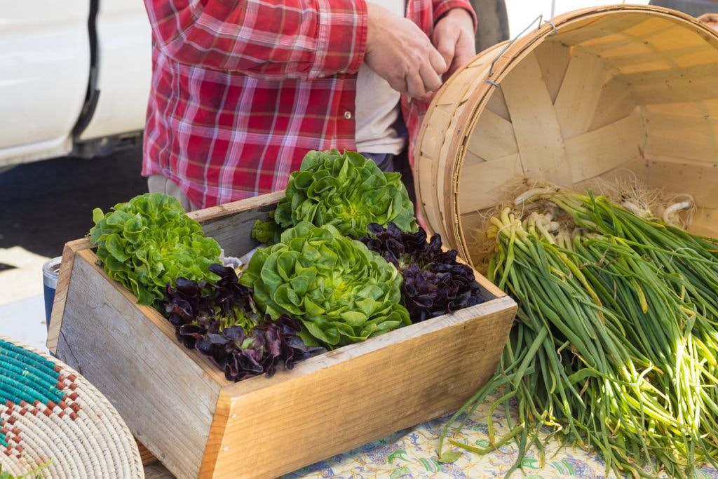 arcata-plaza-farmer-s-market-002