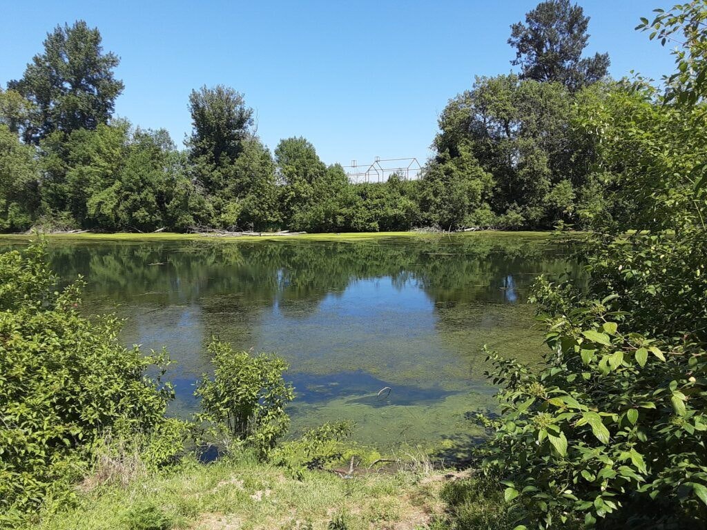 willamette-mission-state-park-003