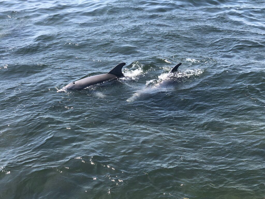 ka-motion-sailing-adventure-004