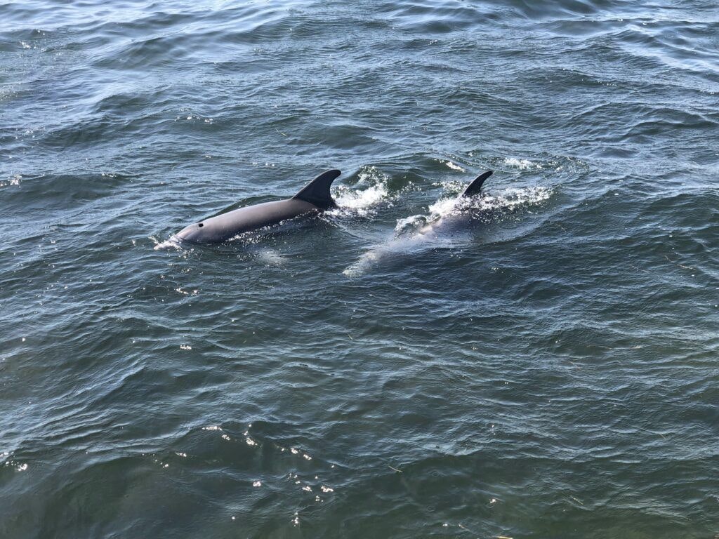 ka-motion-sailing-adventure-004