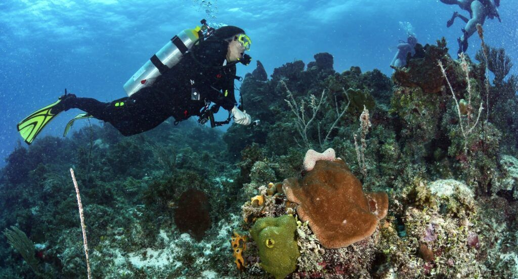 Dressel Divers Cancún