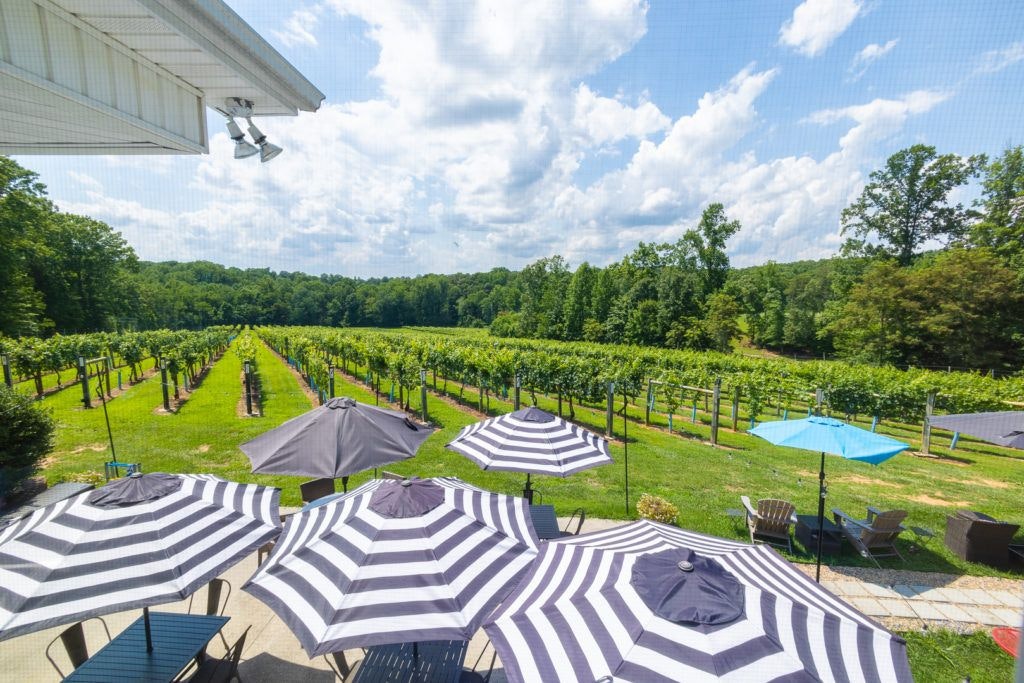 fables-and-feathers-winery-053