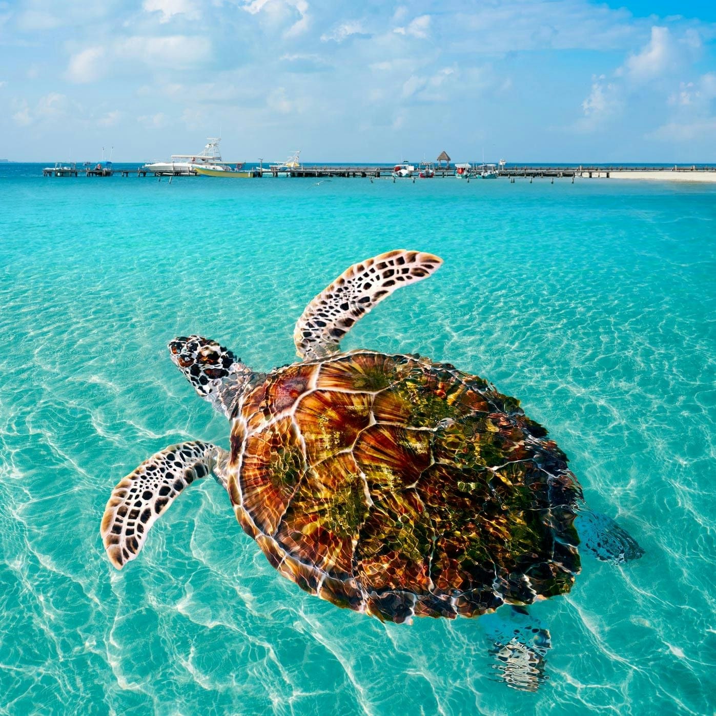 Unique Places to Visit in Playa del Carmen