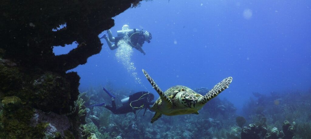 akumal-dive-shop-002