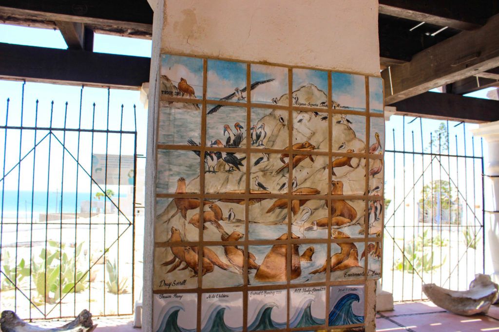 cedo-intercultural-center-for-the-study-of-deserts-and-oceans-009