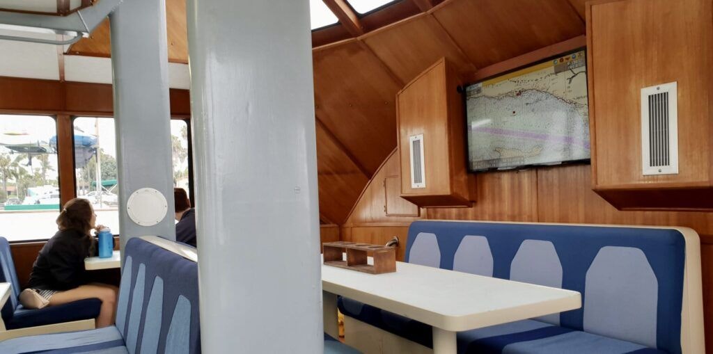 condor-express-whale-watching-002