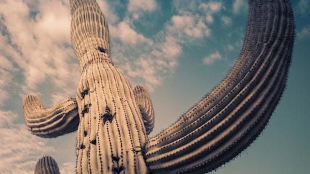 Unique Places to Visit and Points of Interest in Scottsdale Arizona