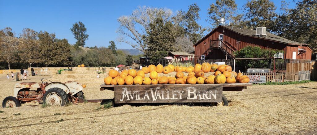 Avila Valley Barn