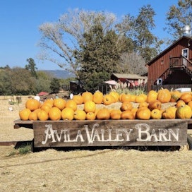 Avila Valley Barn
