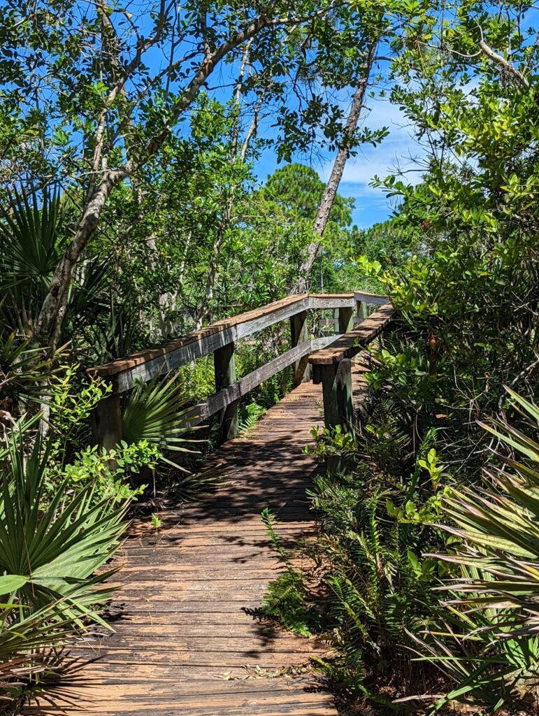 spruce-bluff-preserve-001