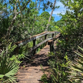Spruce Bluff Preserve