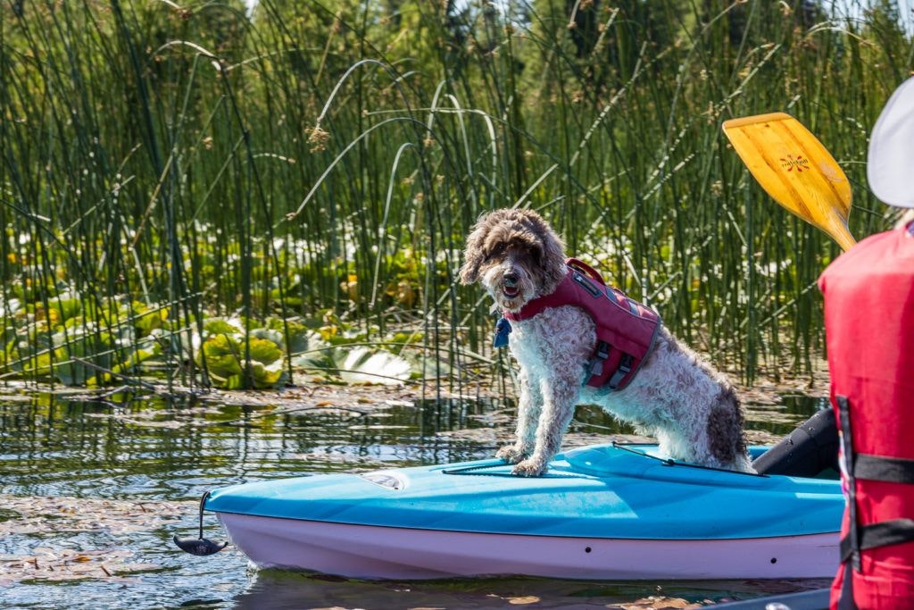 brews-and-views-canoe-tour-cascade-lakes-by-wanderlust-tours-037