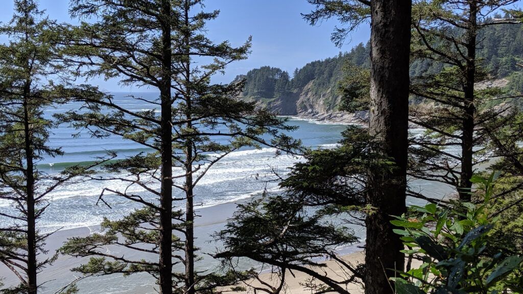 Oswald West State Park