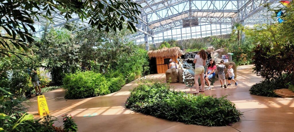 butterfly-wonderland-004