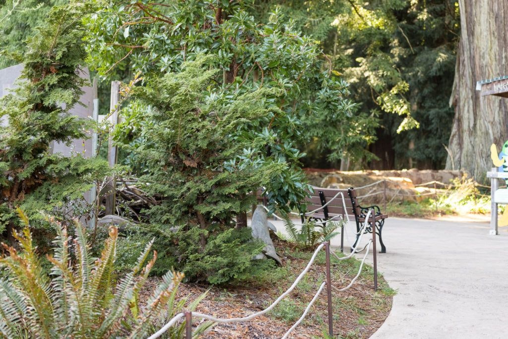 sequoia-park-zoo-and-redwood-sky-walk-023