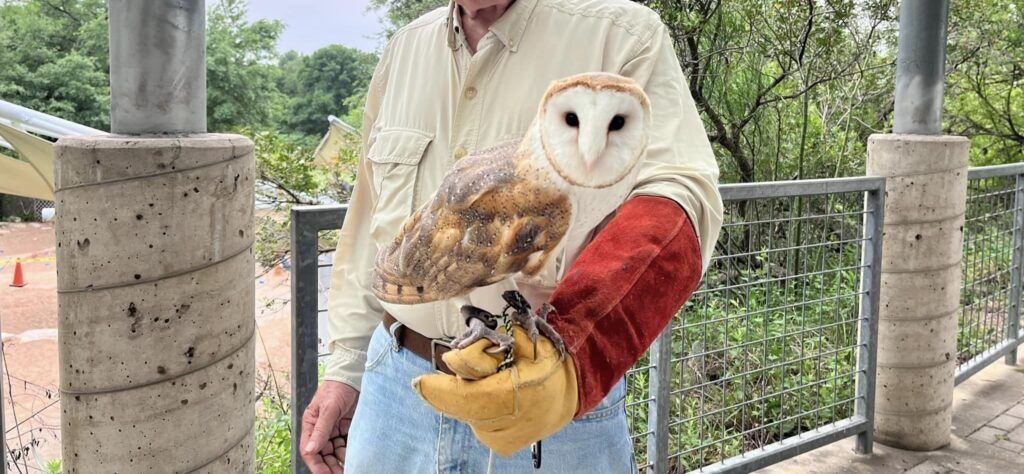 austin-nature-and-science-center-002