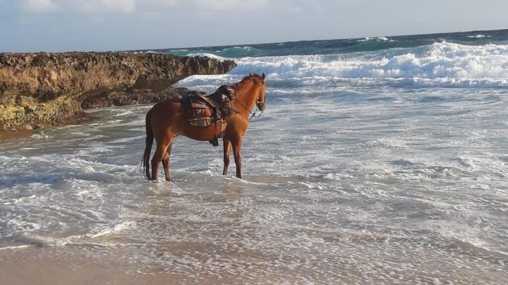 rancho-notorious-002