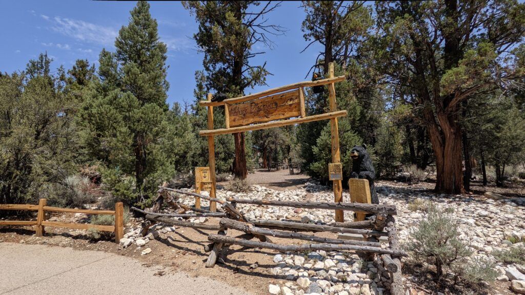 big-bear-discovery-center-003