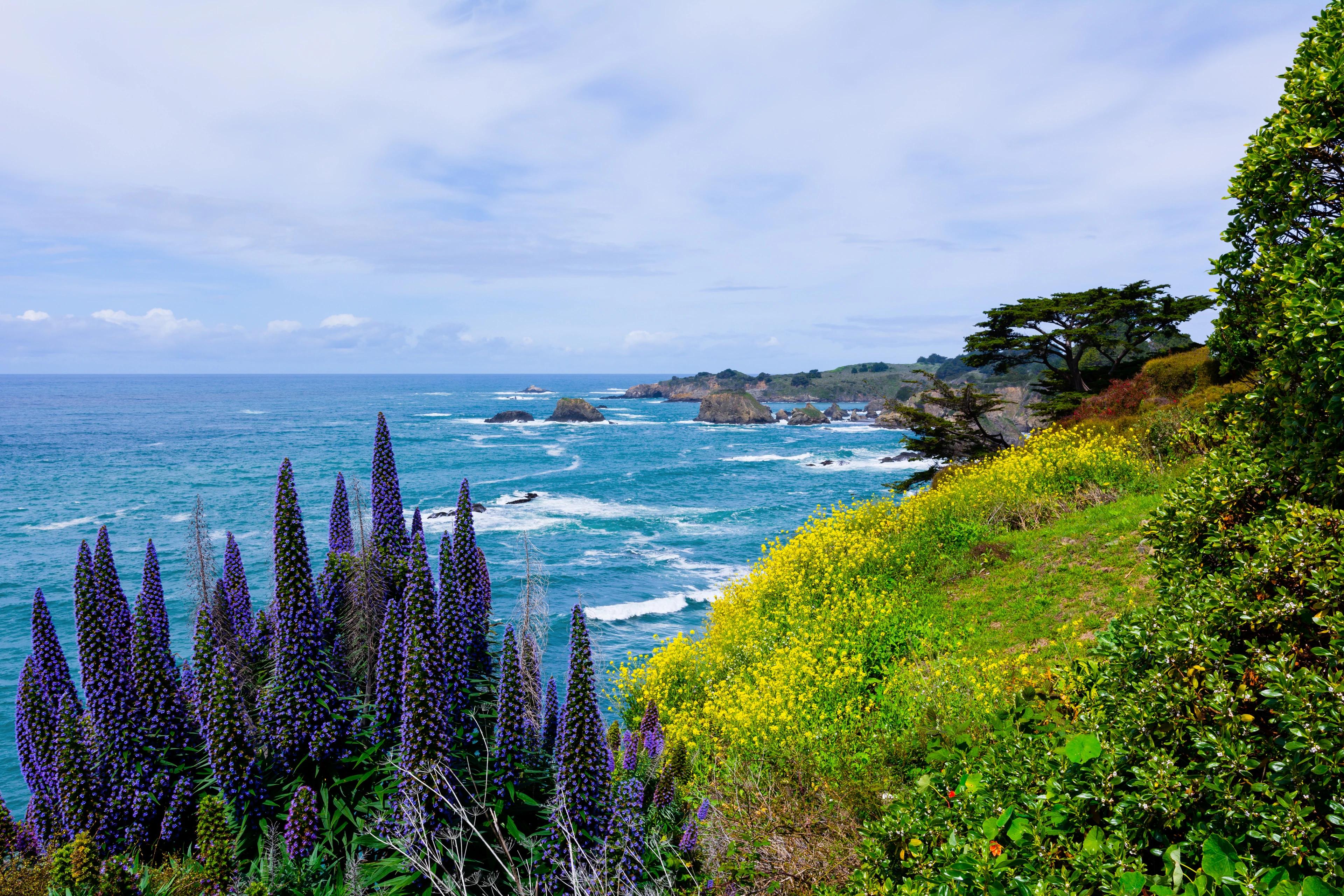 Mendocino Coast
