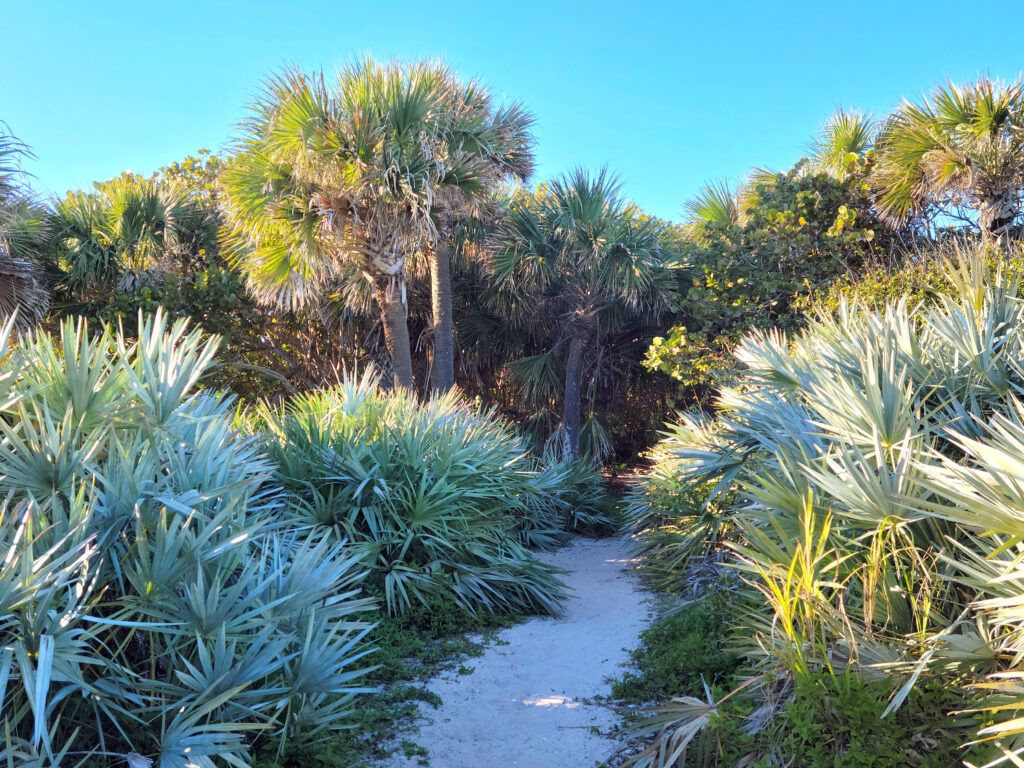 Treasure Shores Park