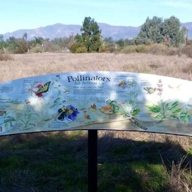 Coronado Butterfly Preserve