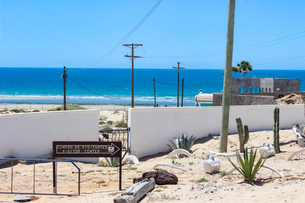 cedo-intercultural-center-for-the-study-of-deserts-and-oceans-007