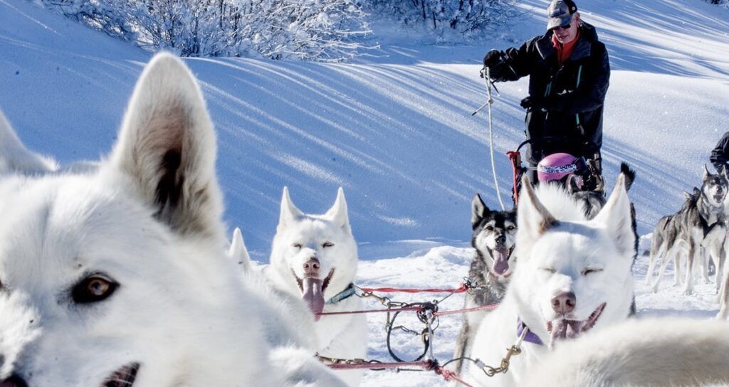 All Seasons Adventures